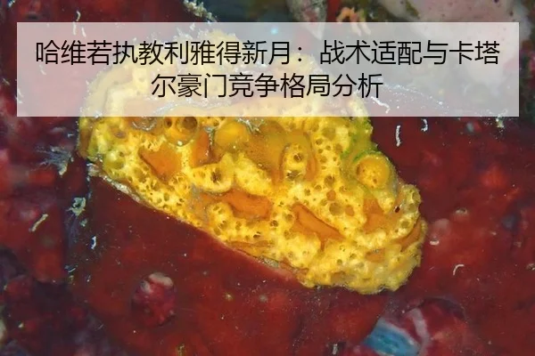 哈维若执教利雅得新月：战术适配与卡塔尔豪门竞争格局分析